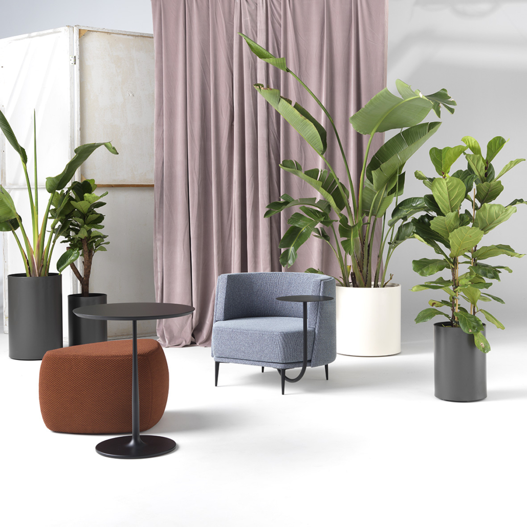 Pergy armchair
